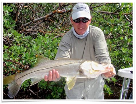 Snook Fly Patterns 的图像结果