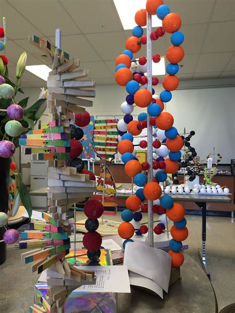 DNA Model Project 的图像结果