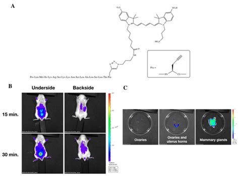 The Peptide ERα17p Is a GPER Inverse Agonist that Exerts ...