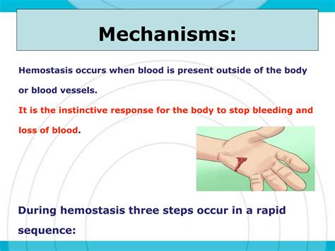 Haemostasis + Steps of blood clotting (coagulation) | PPTX