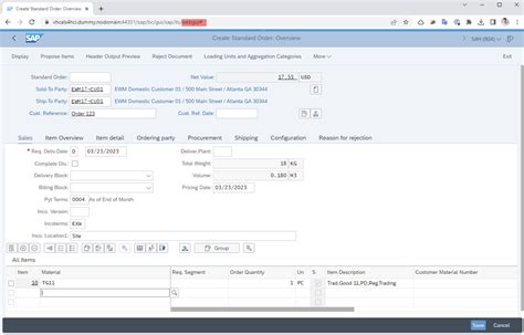 SAP GUI HTML 的图像结果