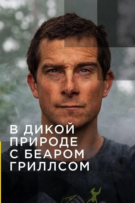 Ток шоу В дикой природе с Беаром Гриллсом (2014) смотреть онлайн на ...