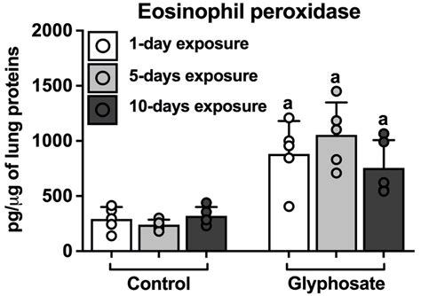 Adhesion Molecules in Lung Inflammation from Repeated Glyphosate Exposures