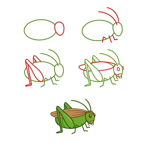 10+ Easy and Cute Grasshopper Drawing Ideas - Drawing Photos