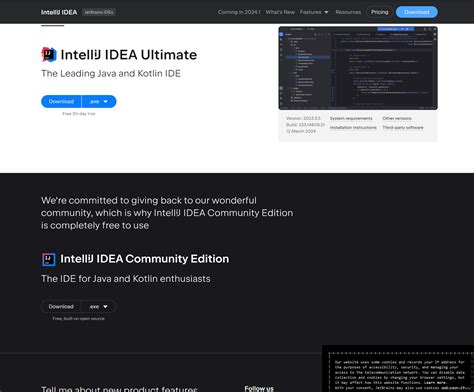 IntelliJ Java 的图像结果