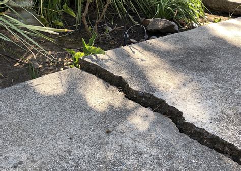 Why You Should Fix That Crack in the Sidewalk | Diamond Certified