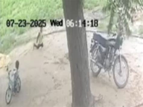 Child dies after hiccup cord gets stuck in throat in Vedla village of ...