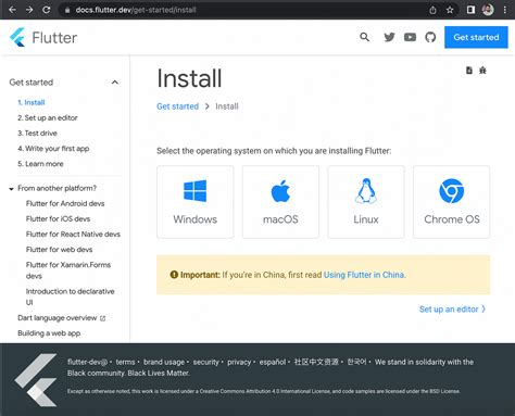 Flutter 3.0 的图像结果