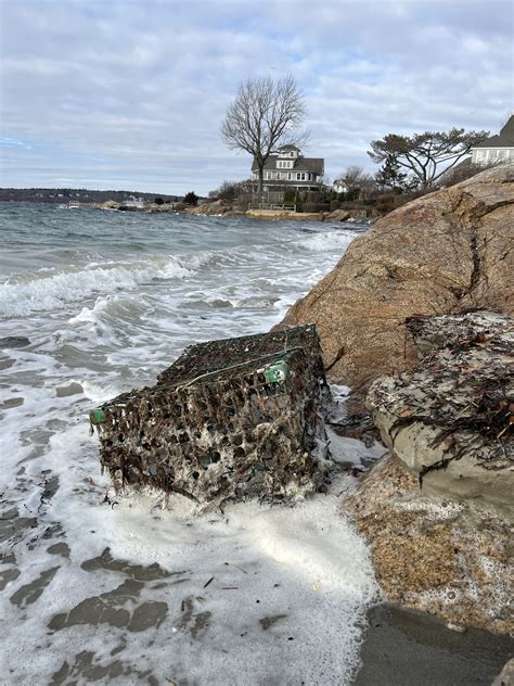 Wolf Moon High Tide - Good Morning Gloucester
