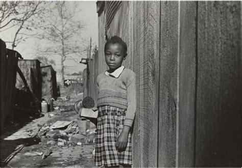 How the Cycle of Oppression Shaped 1950s America | Shortform Books