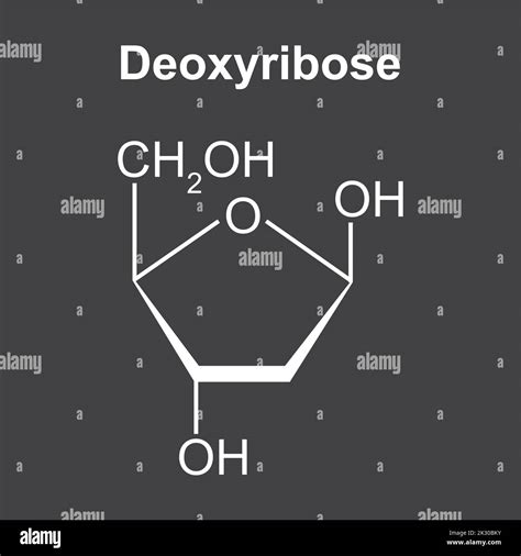 Chemical Structure of Deoxyribose Sugar Molecule. Vector Illustration Stock Vector Image & Art ...