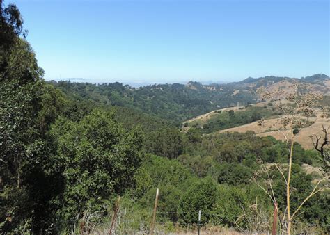 Eden By The Bay: Sibley Volcanic Regional Preserve