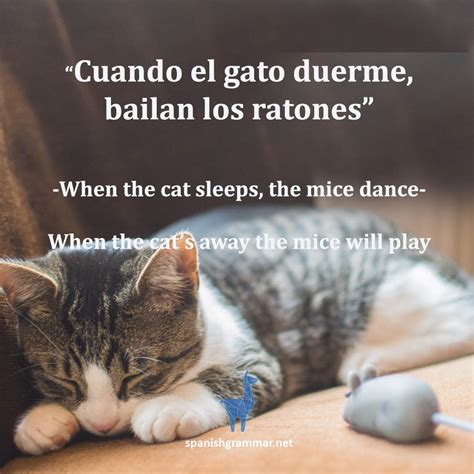 Demonstrative Adjectives in Spanish - Spanish Grammar