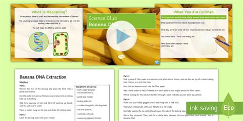 Science Club: Banana DNA Extraction Activity (teacher made)