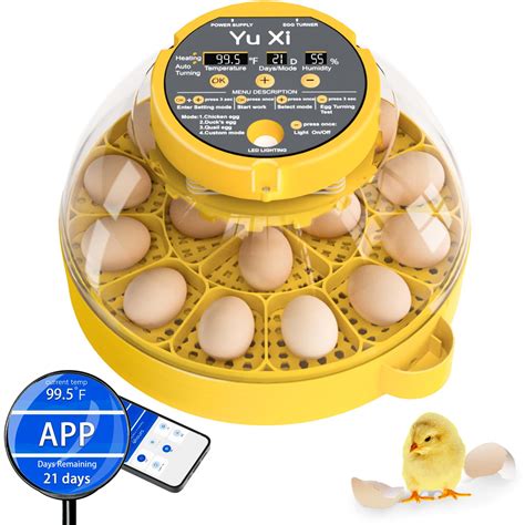 Yuxi Tech 16 Egg Incubator For Hatching Eggs App Track | Desertcart INDIA