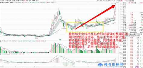 神奇指标进阶篇—看图说话000716黑芝麻-神奇指标网