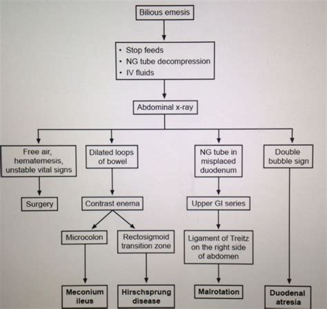Evaluation of bilious emesis... First things to do are stop feeding ...