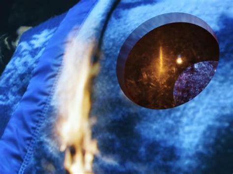 Apichatpong Weerasethakul + Hisakado Tsuyoshi | Meer