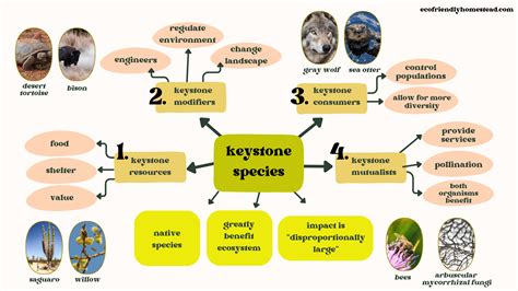 What Are Keystone Species