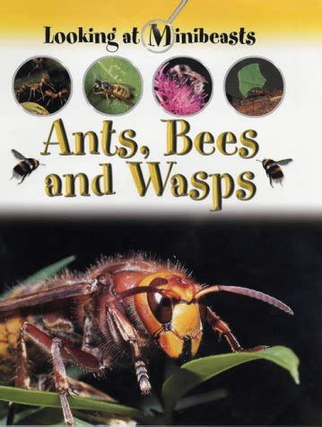 MINIBEASTS ANTS BEES & WASPS : Amazon.in: Books
