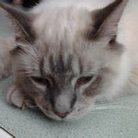 Vero-beach Events | List Of All Upcoming Vero-beach Events In Vero Beach