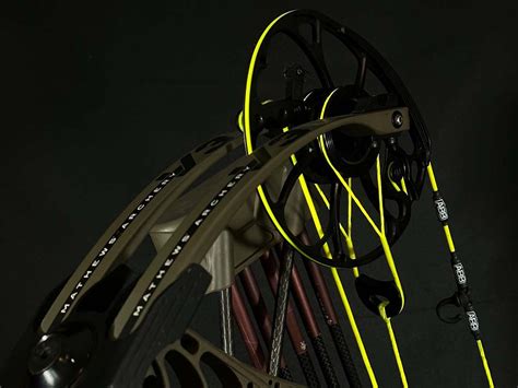 Image result for Custom Compound Bow