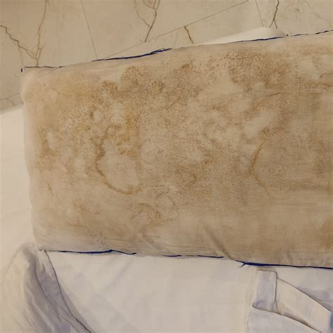 HOTEL THE ONIX (Dehradun) - Boutique Hotel Reviews, Photos, Rate ...