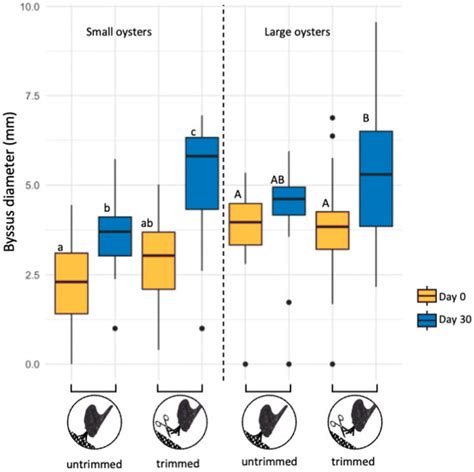 Adaptive Responses in Byssal Growth and Shedding: Insights from Pteria ...