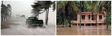 காடு அழிப்பிற்கான காரணங்கள் — lesson. அறிவியல், Class 8.