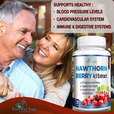 Hawthorn Berry Extract 4:1 (120 Capsules) - Supports Healthy Blood ...