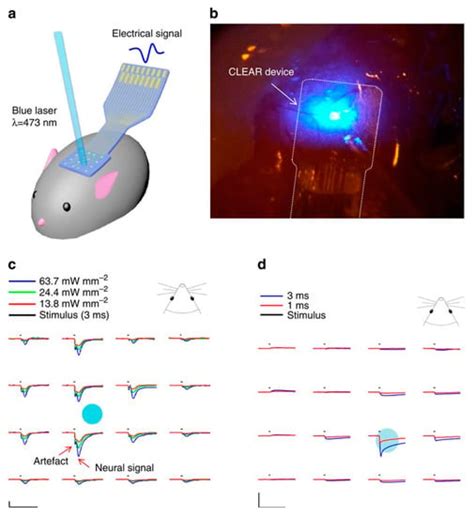 Graphene-Based Nanocomposites for Neural Tissue Engineering