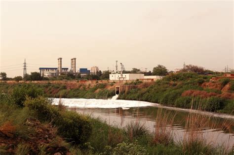 DTE Coverage: Green issues in latest NCRB Report