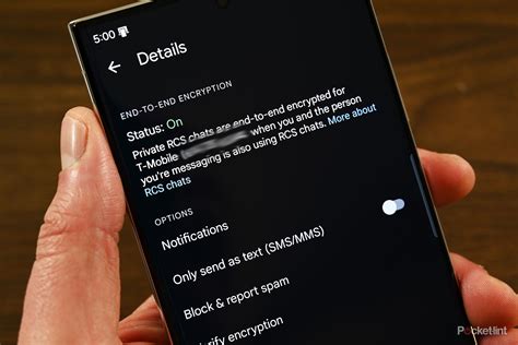 What does 'sent as SMS via server' mean?