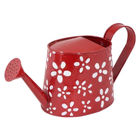 Rvold Hand Painted Rust Free Metal Watering Can for Gardening Plants 2. ...