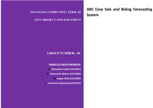 Artifact ii - Project PM - Running head: PEAK LAN PROJECT CASE STUDY ...