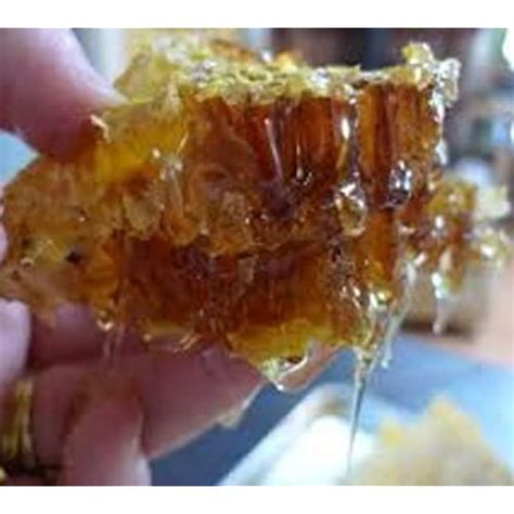 20 Bee Tree Seeds, Euodia Hupehensis Seeds - 20 | Ubuy India