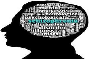 Schizophrenia symptoms may vary as per brain features