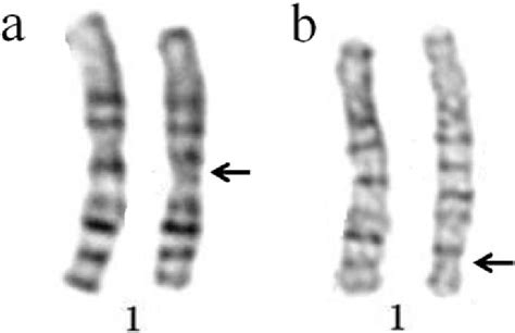 Image result for Abstract Methods of Collection Framework