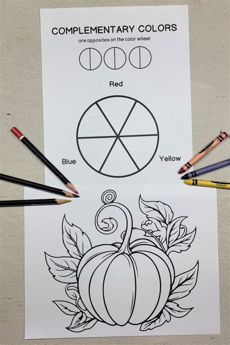 Image result for Complementary Colours Kids