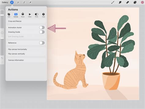 Procreate Animation Class 的图像结果