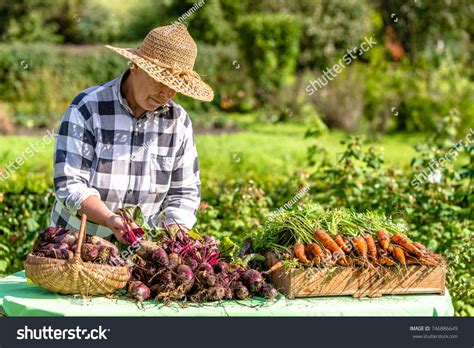 Local Farmer Market 的图像结果