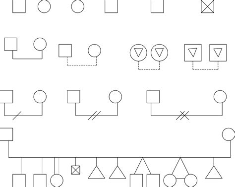 Image result for Basic Genogram