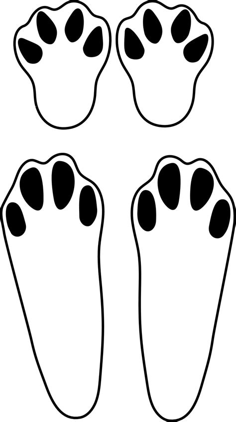 linda Conejo huellas aislado ilustración en un blanco antecedentes. vector ilustración. 21016526 ...