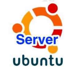 Image result for Linux Server Logo