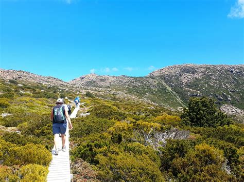 SEE TASMANIA - All You Need to Know BEFORE You Go 2026 (with Photos ...