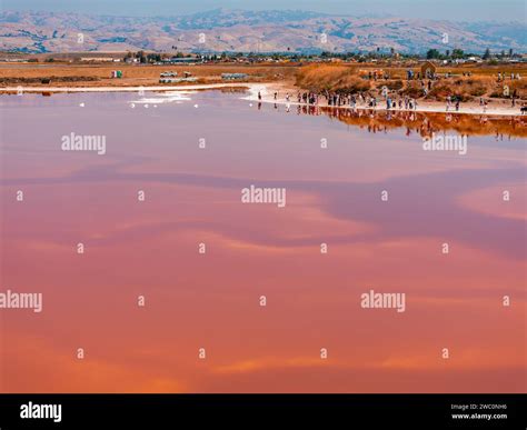Pink salt ponds at Alviso Marina County Park Stock Photo - Alamy