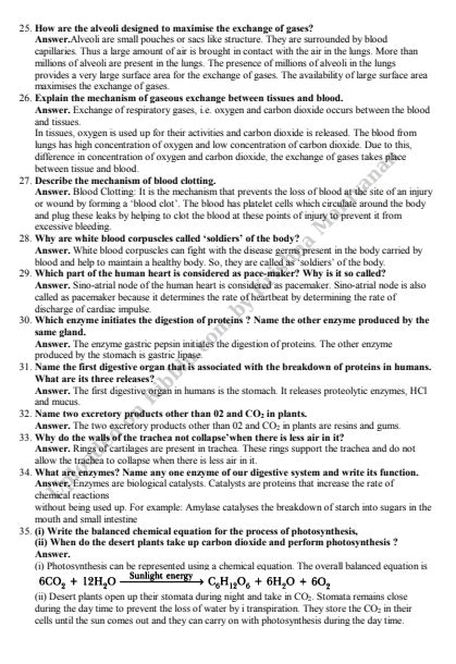 Image result for Science Important Questions Class 10