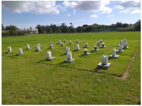 Ammonium-Based Compound Fertilisers Mitigate Nitrous Oxide Emissions in ...