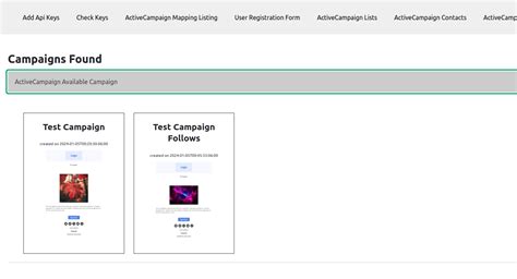 Active Campaign API 的图像结果