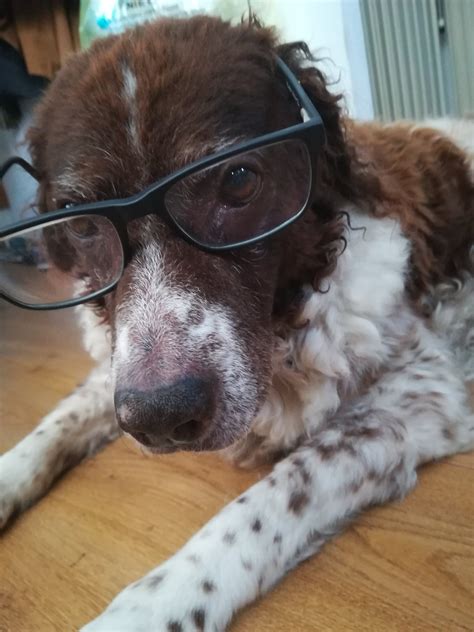 The best Strike memes :) Memedroid